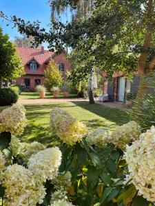 a garden with white flowers in front of a house at Ferienwohnung ZWEI Hof Himmelgrün in Saal