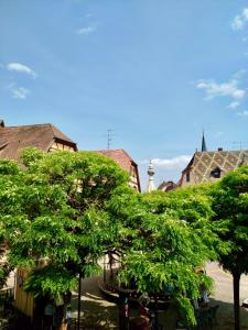 Príroda v okolí apartmánu