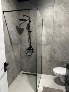 Koupelna v ubytování Premium Line Apartman 2