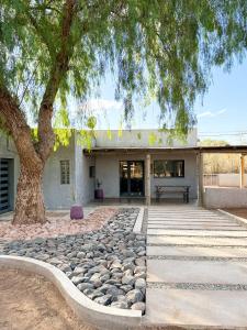 a tree in front of a building with a bench at Casas de Viña in Villa Unión