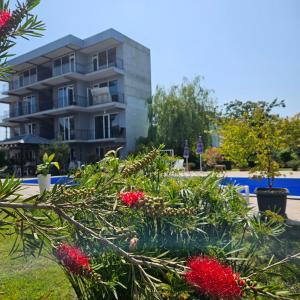 Giardino di Pirosmani