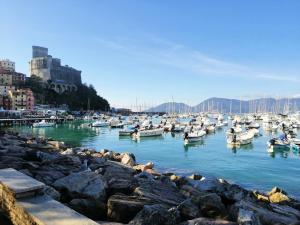 Er liggen boten in een haven. bij La Graziosa in Villa wifi parcheggio gratuito self check-in zona Lerici Guercio in Lerici