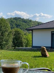 a cup of coffee sitting on a table in the grass at Mountain House Transalpina in Novaci