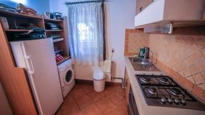 Kuchyň nebo kuchyňský kout v ubytování Cabana Csiki