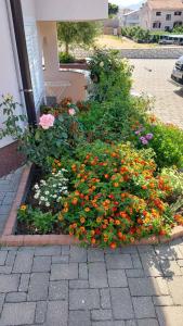 Zahrada ubytování Apartment Pirun