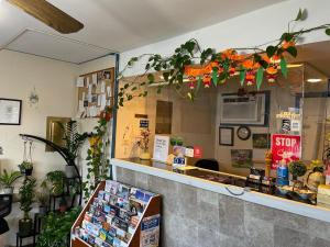 Fotografie z fotogalerie ubytování Cozy Corner Motel v destinaci Williamstown