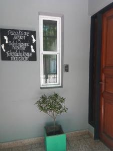 a plant in a pot next to a window at El Departamentito in Villa Mercedes