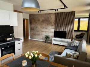 a living room with a couch and a tv at Apartamenty Rubikon in Krakow