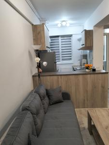 Billede fra billedgalleriet på Casa Larisa i Bragadiru