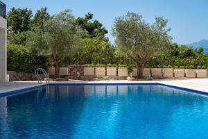 a blue swimming pool with trees in the background at Apartments Dream in Tivat