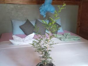 Letto o letti in una camera di Cool Banyan Cabana