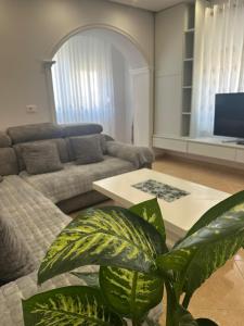 TV a/nebo společenská místnost v ubytování Dion apartamen