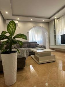 TV a/nebo společenská místnost v ubytování Dion apartamen