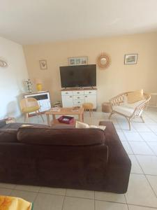 Una sala de estar con un sofá y un televisor en Mauguio-Carnon P2 60 m2, tout confort, spacieux, climatisé, wifi, balcon, parking privé couvert, 15 min de la mer, de Montpellier, en Mauguio