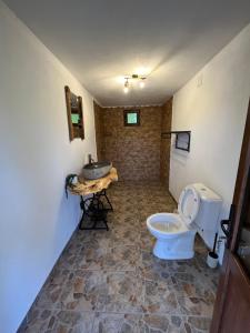 a bathroom with a toilet and a sink at Wild Glamping Cornereva in Cornereva +39 photos
