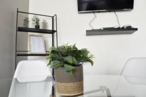 Billede fra billedgalleriet på Hermoso Departamento Primera Linea de Concon i Concón