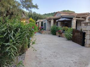 Zahrada ubytování Villa Liberta