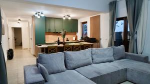 a living room with a couch and a kitchen at Twin Villa in Văliug
