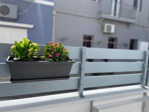 a potted plant sitting on a railing on a balcony at Aetheria in Ermoupoli