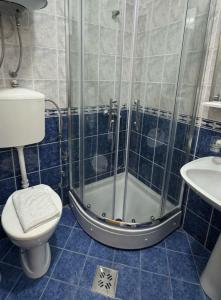 a bathroom with a shower and a toilet and a sink at Apartments Mitrovići Miločer in Sveti Stefan