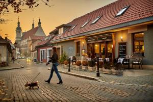 Afbeelding uit fotogalerij van Pension & Restaurant PATRIOT Trnava in Trnava