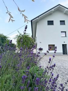 a garden with purple flowers in front of a white building at Forest Hill Apartment, near Ljubljana in Dol pri Ljubljani +17 photos