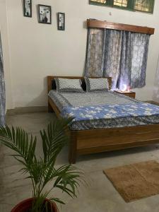1 dormitorio con cama, ventana y planta en Purple Orchid, en Guwahati
