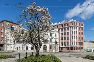 Un árbol en flor en una calle de la ciudad con edificios. en Chic and Compact Loft in Old Riga, en Riga