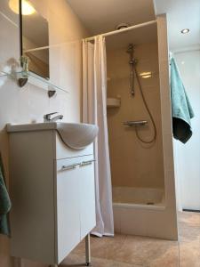 a bathroom with a sink and a shower at 't Veldhuisje in Kootwijkerbroek