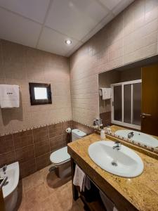 a bathroom with a sink and a toilet and a mirror at Hotel Don Pepe Lago de Sanabria in Ribadelago +65 photos