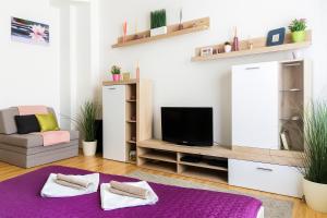 Televízia a/alebo spoločenská miestnosť v ubytovaní Andy's Home Central Apatment