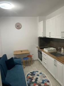 Köök või kööginurk majutusasutuses Iris apartaments