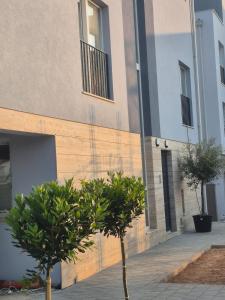 zwei Bäume stehen vor einem Gebäude in der Unterkunft Adria Vir in Vir