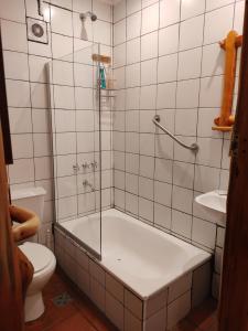 a bathroom with a shower and a tub and a toilet at Cabaña de troncos en el bosque in San Carlos de Bariloche