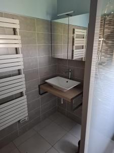 a bathroom with a sink and a mirror at Gite du prince in Saint-Vincent-Rive-dʼOlt +20 photos