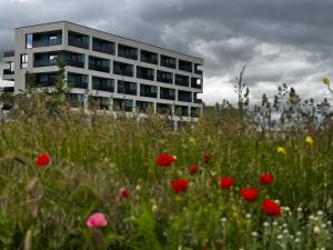 ein Feld roter Blumen vor einem Gebäude in der Unterkunft Twin Waves in Costinești