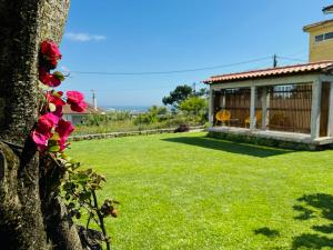a house with a green yard with a tree and pink flowers at Casa do Cato in Viana do Castelo