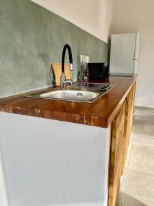 a kitchen counter with a sink and a refrigerator at Kôsy in Grand-Bourg +23 photos