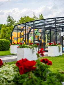 un campo di fiori davanti a un parco giochi di Perla Mare Apartamenty a Krynica Morska Altre 35 foto