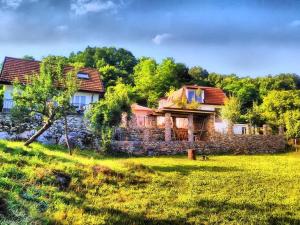 a house with a stone wall and a yard at Villa Perule 2 Вила Перуле in Shumnatitsa