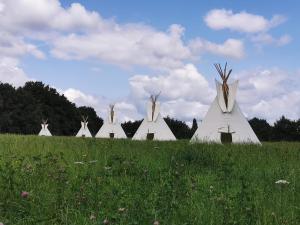 a row of white tents in a field at Tipis Mohair de l'Erdre in Casson