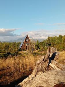 a house in the middle of a field with a log at Casa Alpina Puerto Varas in Puerto Varas