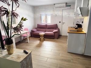 Kuchyň nebo kuchyňský kout v ubytování Apartamentos De la Haya & Suite con Jacuzzi, junto al Teatro Romano