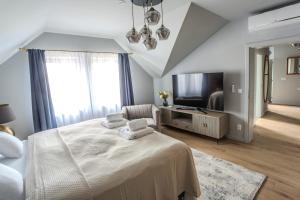 Uma televisão e/ou sistema de entretenimento em Apartmány U Devíti Lvů