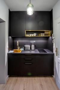 A cozinha ou kitchenette de Apartmány U Devíti Lvů