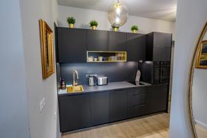 A cozinha ou kitchenette de Apartmány U Devíti Lvů