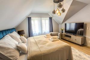 Uma televisão e/ou sistema de entretenimento em Apartmány U Devíti Lvů
