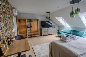 Uma televisão e/ou sistema de entretenimento em Apartmány U Devíti Lvů