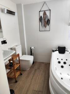 Koupelna v ubytování Apartamentos De la Haya & Suite con Jacuzzi, junto al Teatro Romano