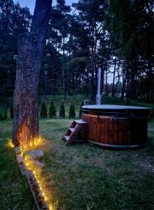a hot tub sitting next to a tree with lights at Puķkalniñš in Ventspils